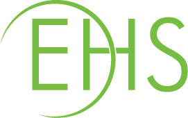 Director of Information Services